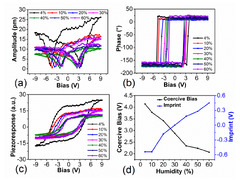 Materials |-Text | Humidity Effects on Domain Structure ...