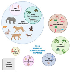 Microorganisms |-Text | Bioactive Antimicrobial Peptides ...