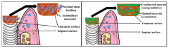 Microorganisms |-Text | Quorum Sensing and Quorum ...