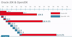 Java Development Kit (Oracle JDK)