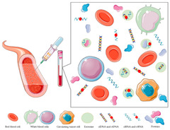 Molecules |-Text | Nanomedicine and Immunotherapy: A ...