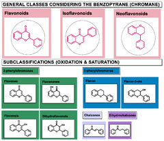 Molecules |-Text | Plant Occurring Flavonoids as ...