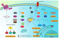 Molecules |-Text | Elucidating Role of Reactive Oxygen ...