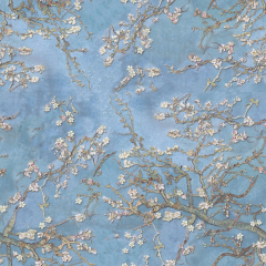 Almond Blossom Van Gogh