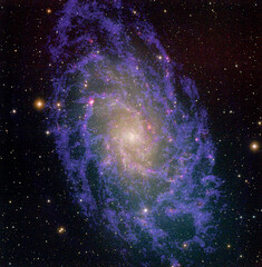 M33 Galaxy (Triangulum Galaxy)