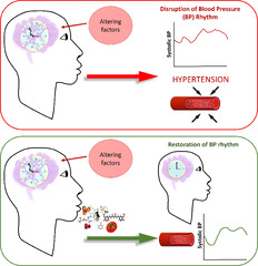 Nutrients |-Text | Role of Chrononutrition in the ...