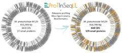 From hundreds to thousands of genes: new advances in identifying ...