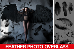 Black feather Overlays, Feather photo overlays, photoshop By 2SUNS ...