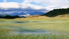 Patagonia National Park visit | Parque Patagonia | andBeyond