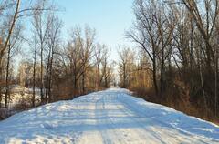 Snow Covered Road Between Bare Trees Under Blue Sky · Stock Photo