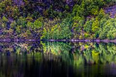 Scenic View of Lake in Forest · Stock Photo