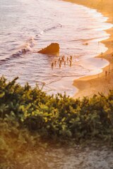 Green grass on brown sand near body of water during daytime photo ...