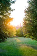 Green grass field with trees during daytime photo – Peaceful ...