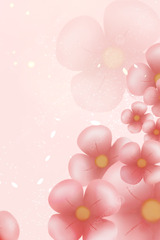 Beautiful Peach Flower (Cherry Blossoms Background)