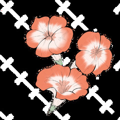 Small Fresh Hand Painted Flowers PNG Transparents ...