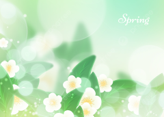 Spring Floral Hazy Light Effect Background, Desktop ...