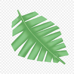 Tropical Rainforest Clipart PNGs, Tropical Rainforest ...