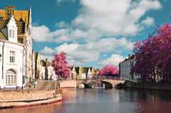 Free Tour of Bruges. I booked our Hidden Bruges.