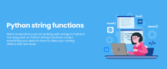 Python%20String%20Functions%20With%20Examples