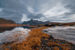 One Week Itinerary In Lofoten Islands In October (Part 3 ...