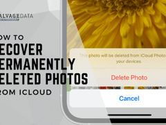 How to Recover Permanently Deleted Photos from iCloud - SalvageData