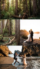 Redwoods Elopement Tips for a Magical Forest Wedding 