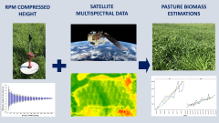 Remote Sensing |-Text | Spatial and Temporal Pasture ...