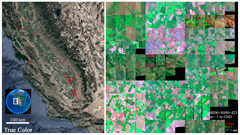 Remote Sensing |-Text | Which Vegetation Index ...