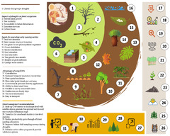 Remote Sensing |-Text | Climate-Change-Driven Droughts ...