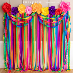 Mexican Fiesta Streamer Backdrop with Crepe Paper Fiesta Flowers ...