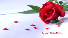 Rose Valentines Day Romantic Background s 113518 - Baltana