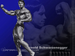 Arnold Schwarzenegger (Schwarzenegger Mr Olympia )