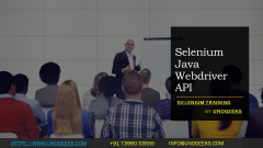 Selenium%20Java%20Webdriver%20API