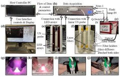 Sensors |-Text | Photoacoustic Imaging of Human ...