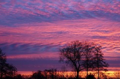 Sunset Evening Red Twilight Clouds Sunlight Nature Orange