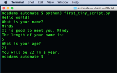 Starting%20Python%20%E2%80%94%20Python%20Beginners%20documentation