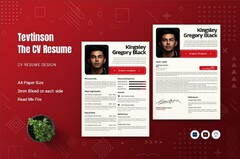 70+ Best CV & Resume Templates 2024 | Design Shack