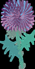 Free Thistle Vector - 16  Thistle Icons & Graphics ...