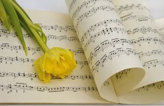 Tulipe Fleur Partition De Musique - Photo gratuite sur Pixabay ...