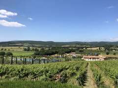 Luxury Tuscan Estate With Vineyards, Massa Maritima, Tuscany ...