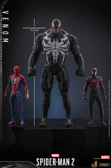 Hot Toys 1/6 Spider-Man 2 Venom Figure (Venom - Marvel's Spider-Man 2)