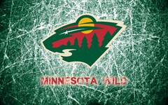 Minnesota Wild (Trends International Nhl Minnesota Wild Logo 15 )