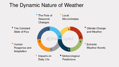 The Role of Seasonal Changes in Microclimates and Climate Change