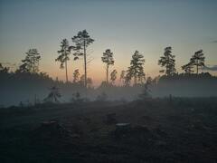 Deforestation in Brazil