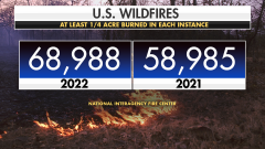 Canadian wildfire smoke disrupting air quality for millions of ...