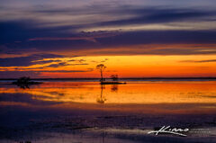 Golden Light Captivating Sunset at Hunting Island State Park St | HDR