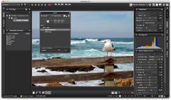 LightZone Alternatives: 25+ Editors & Similar Apps ...