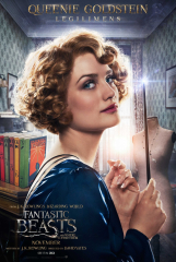 Fantastic Beasts and Where to Find Them (2016) Movie