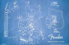 FENDER - EXPLODED STRAT