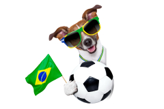 fifa world cup, brazil, 2014